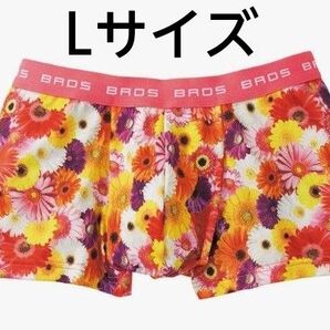 ブロスバイワコールメン ボクサーパンツ(Lサイズ)前とじ ハナコトバパンツ ピンク
