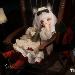◆新品未使用◆ TinyFox 夕暮れ子猫 カサンドラ 1/6スケールMJDドール (新ボディ採用)フルセット