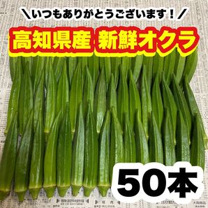 50本 高知県産 野菜 オクラ即購入OK 産地直送 wnE