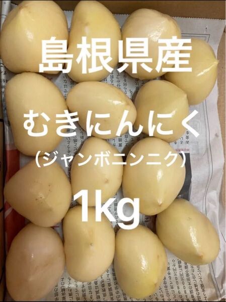 【理由あり】島根県 出雲市産 ジャンボにんにく 生にんにく むきにんにく バラ約1kg