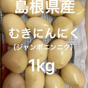 【理由あり】島根県 出雲市産 ジャンボにんにく 生にんにく むきにんにく バラ約1kg