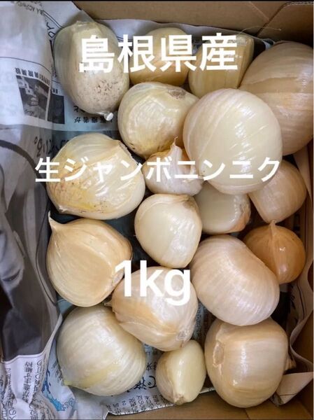 【理由あり】島根県 出雲市産 ジャンボにんにく 生にんにく バラ約1kg