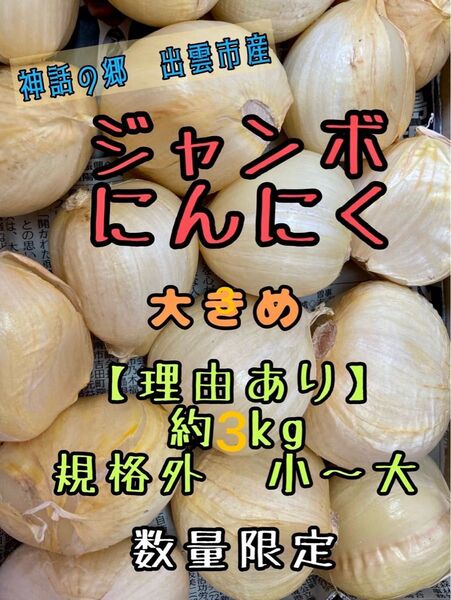 【理由あり】島根県 出雲市産 ジャンボにんにく 生にんにく バラ約3kg