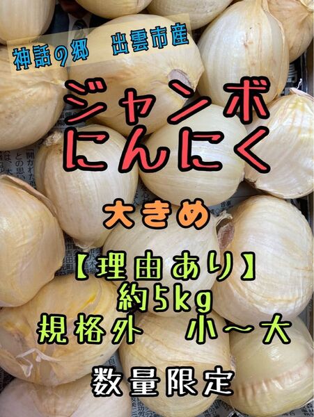 【理由あり】島根県 出雲市産 ジャンボにんにく 生にんにく バラ約5kg