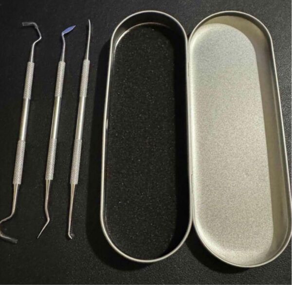 歯石取り 歯石 スケーラー 入り 歯用ツール 【選りすぐりの4点セット】 歯石除去 器具