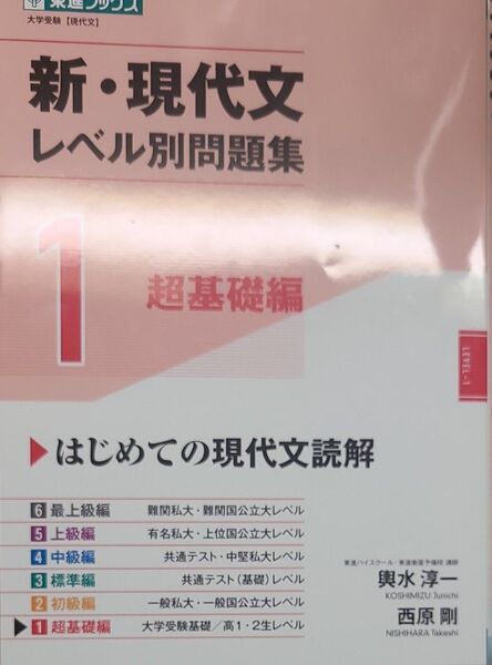 新・現代文レベル別問題集 大学受験 1 (東進ブックス レベル別問題集シリーズ) 輿水淳一/著 西原剛/著