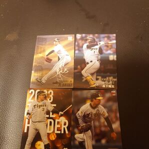 プロ野球チップスカード阪神タイガース 阪神タイガース プロ野球チップス カルビー BBM