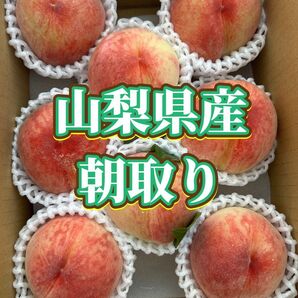 山梨県 桃 朝採りたて 6~8玉 家庭用
