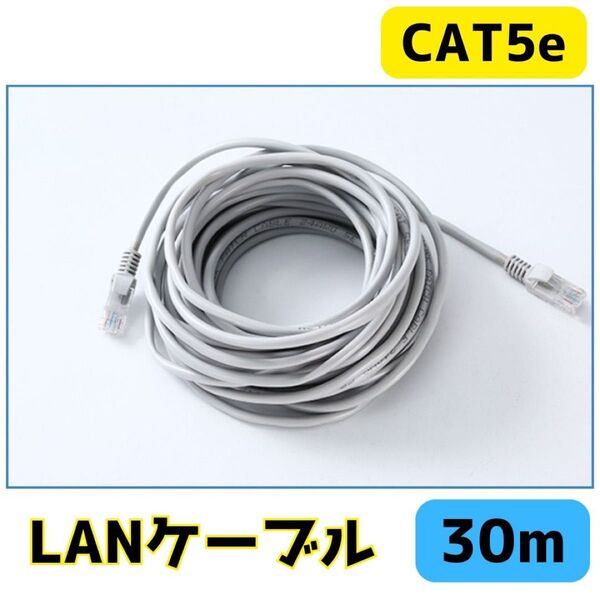 LANケーブル 灰色 30M RJ-45 8芯 Cat5 最大100Mbps ゲーム PC Wi-Fi wifi 30m グレー