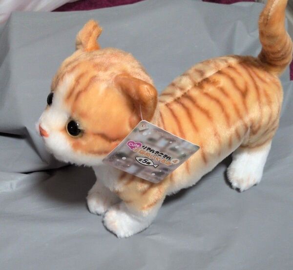 リアルアニマル子猫ぬいぐるみ!新品!