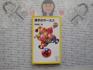 岩波ジュニア新書NO.400 漢字のサーカス　馬場雄二