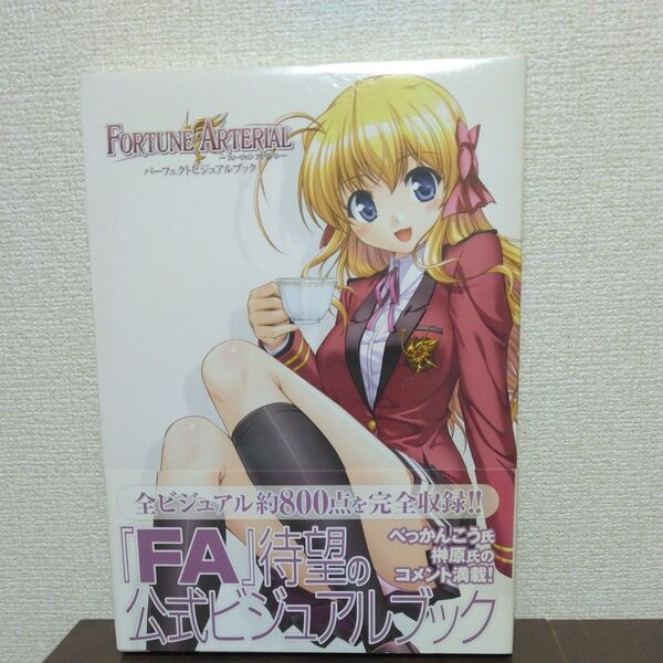 FORTUNE ARTERIAL パーフェクトビジュアルブック/電撃Gs magazine編集部 【編】 オーガスト 【協力】