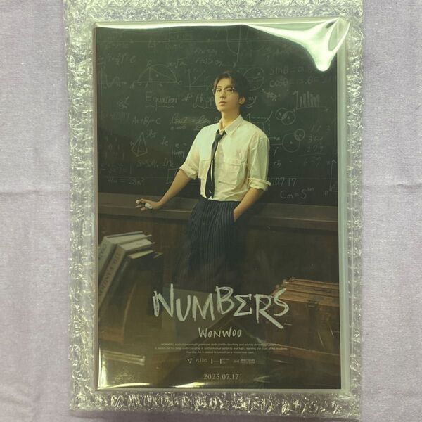 SEVENTEEN ウォヌ wonwoo バパケ 2025 BIRTHDAY BOX バースデーパッケージ