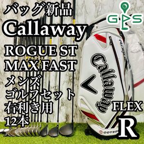 【バッグ新品】キャロウェイ ローグST メンズゴルフセット 12本 R かんたん