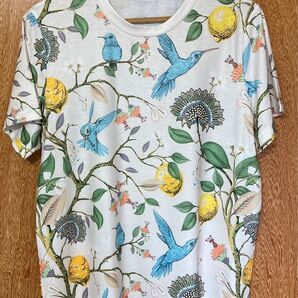 爽やか!柑橘と青い鳥♪ 鳥柄 半袖Tシャツ Lサイズ