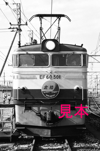 鉄道写真、35ミリネガデータ、102571510020、EF60-501、北陸、武蔵野操車場、1986.01.26、（2853×1892）