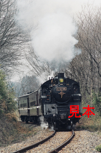 鉄道写真、35ミリカラーネガデータ、104073350020、C12-66＋50系、真岡鐵道、笹原田～天矢場、1994.03.28、（2677×1775）