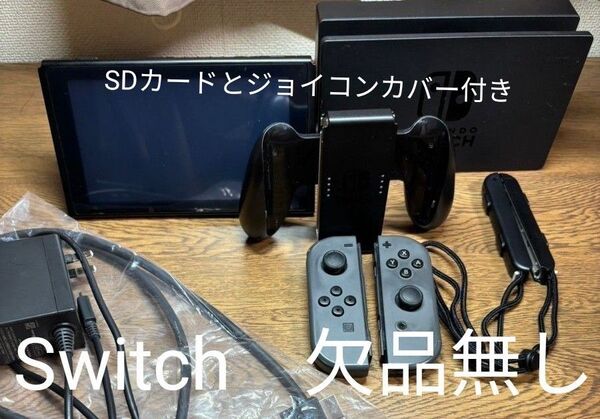 Nintendo Switch グレー 初期化済 SDカードとジョイコンカバー付き 500円値引き