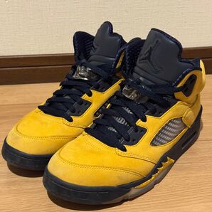 Air Jordan5 Michigan 26.5センチ