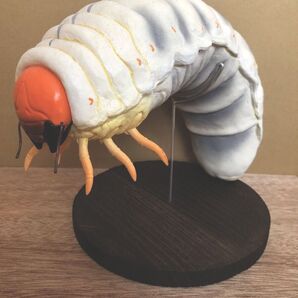 オオクワガタフィギュア