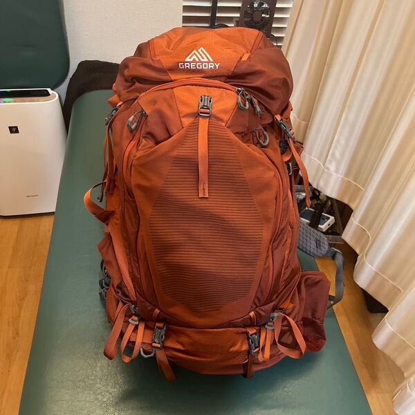グレゴリー バルトロ 65 Mサイズ GREGORY 登山 BALTORO