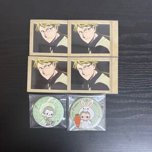 文豪ストレイドッグス 国木田独歩 ぱしゃこれ 缶バッジ