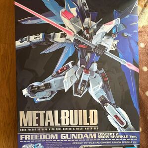 METAL BUILD メタルビルド フリーダムガンダム snow sparcle