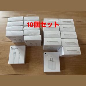 Apple 純正 USB-C - Lightningケーブル 20W USB-C電源アダプタ 10個セット