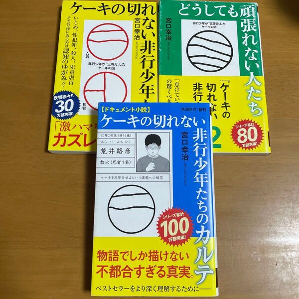 ケーキの切れない非行少年たち (新潮新書 820) 宮口幸治/著 ほか計3冊セット
