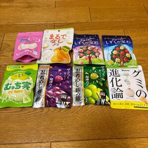 本日限定価格 新品 どれもレア商品です。忍者めし、むっち実など
