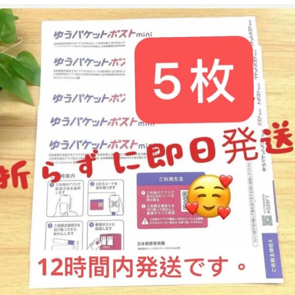 新品 即発送可能 ゆうパケットポストmini 専用封筒 5枚セット ゆうパケットポストミニ