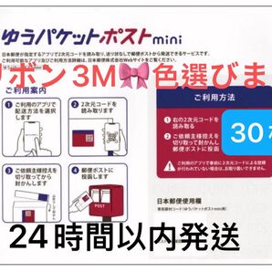 新品 即発送可能 ゆうパケットポストmini 専用封筒 30枚セット ゆうパケットポストミニ リボン3M