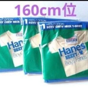 ヘインズ ビーフィーボーイズ 無地 半袖Tシャツ ベージュ 100%コットン BOYS L 3枚セット 160cm程度 丸首