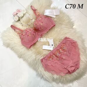 C70 TR0109 トリンプ レッドレーベル セット オレンジ