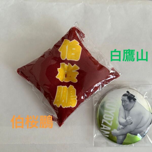 大相撲 ガチャガチャ 関取控え座布団キーホルダー伯桜鵬 関取全員集合缶バッジ白鷹山 2点セット