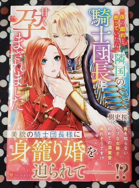 一夜の戯れと思っていたら、隣国の騎士団長に甘く孕まされました (Noche BOOKS) 樹史桜/〔著〕