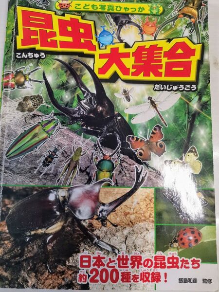 昆虫大集合 図鑑 虫 カブトムシ クワガタ