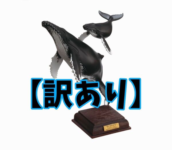 【訳あり②】ネイチャーテクニカラー 小笠原特装版 ザトウクジラ
