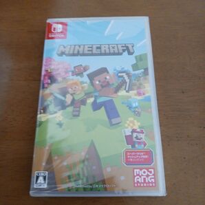 Minecraft Switch