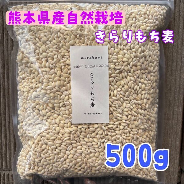 熊本県産きらりもち麦自然栽培500g