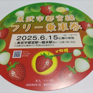 東武宇都宮線 フリー乗車券 2025年版