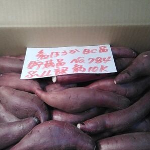 超お得!! 訳あり☆限定品☆ねっとり甘い貯蔵品紅はるかBC品約10Kgです。 サツマイモ 千葉県産 べにはるか