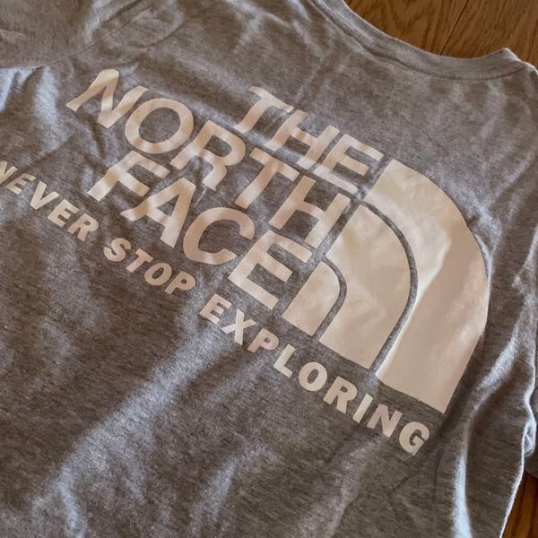 ノースフェイス THE FACE NORTH Tシャツ 半袖 ロゴ