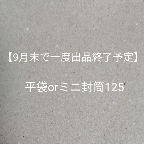 【9月末で一度出品終了予定】平袋orミニ封筒125