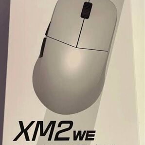 Endgame Gear XM2we エンドゲームギア ゲーミングマウス