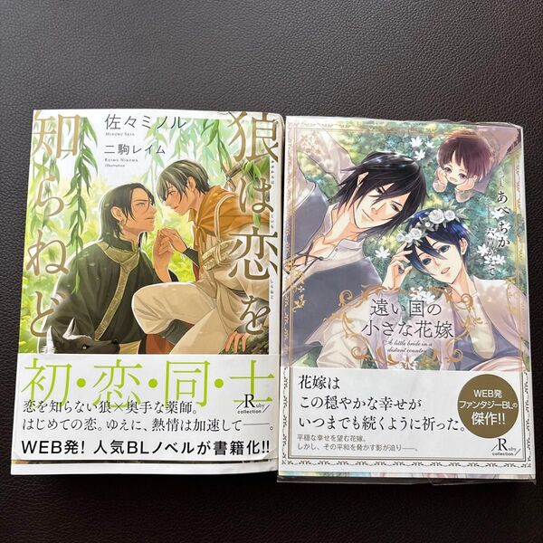 狼は恋を知らねど (Ruby collection) 佐々ミノル/著 遠い国の小さな花嫁/あべちか著 厚さ3センチ簡易包装