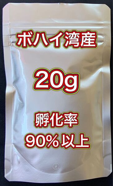 【ボハイ湾産 高品質 ブラインシュリンプエッグ】孵化率90%以上 20g