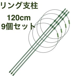 園芸用 支柱 リング支柱 120CM(12号〜鉢用)9個セット