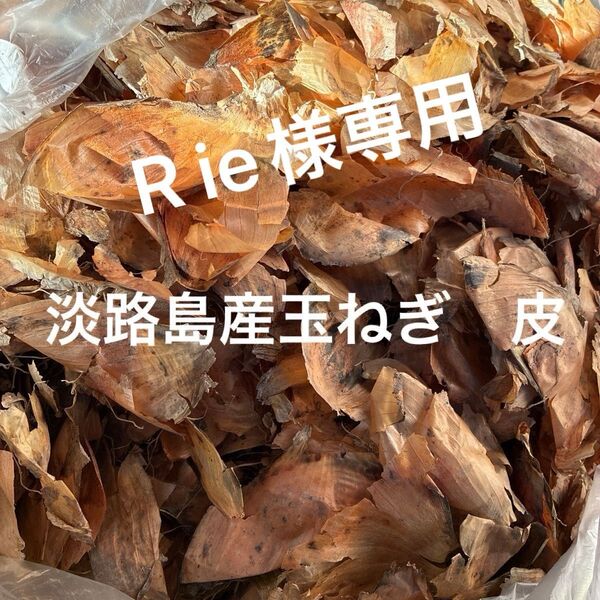 淡路島産玉ねぎ 皮 80サイズ箱いっぱい 染め物、お茶にされますか?根っこや葉が混ざってて、仕分けできてませんm(__)m