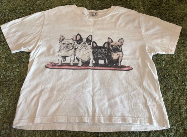 エンドレスサマー TES Tシャツ ブルドッグ BUHI M